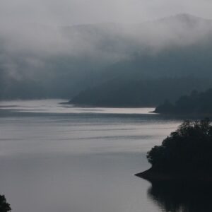 Cápsulas de Psilocibina de Psilocibe Cubensis