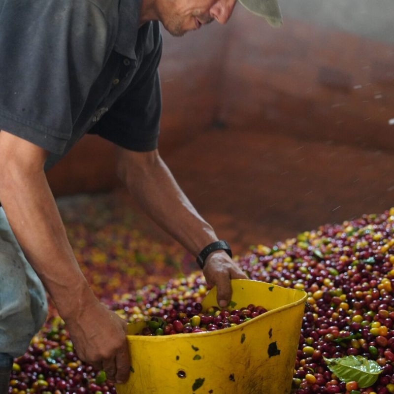 Lozana Supremo Coffee (1)
