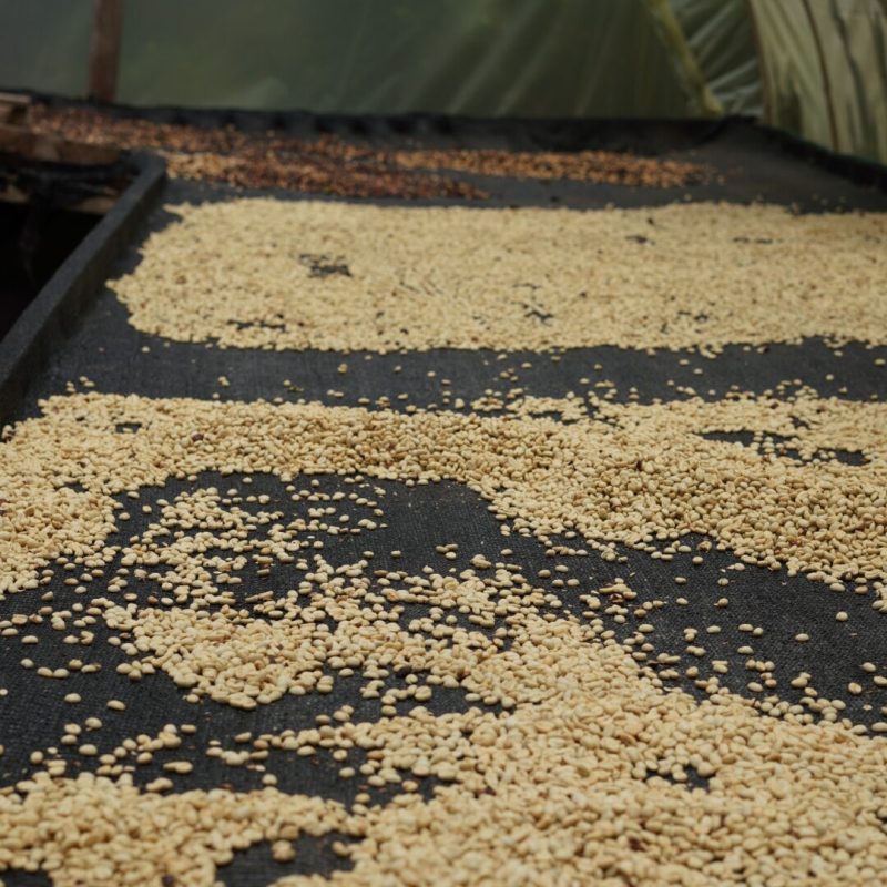 Lozana Supremo Coffee (10)