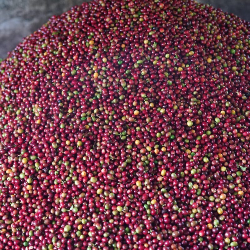 Lozana Supremo Coffee (3)