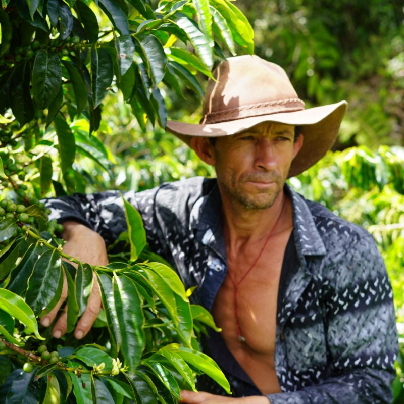 Lozana Supremo Coffee (6)
