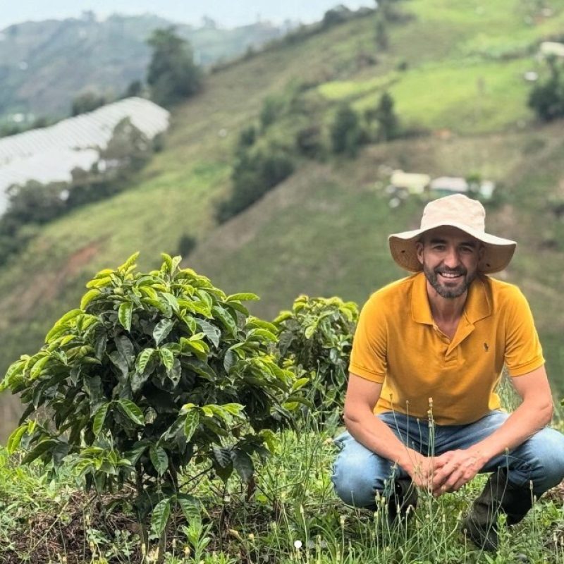 Luis Montoya Lozana Coffee (6)