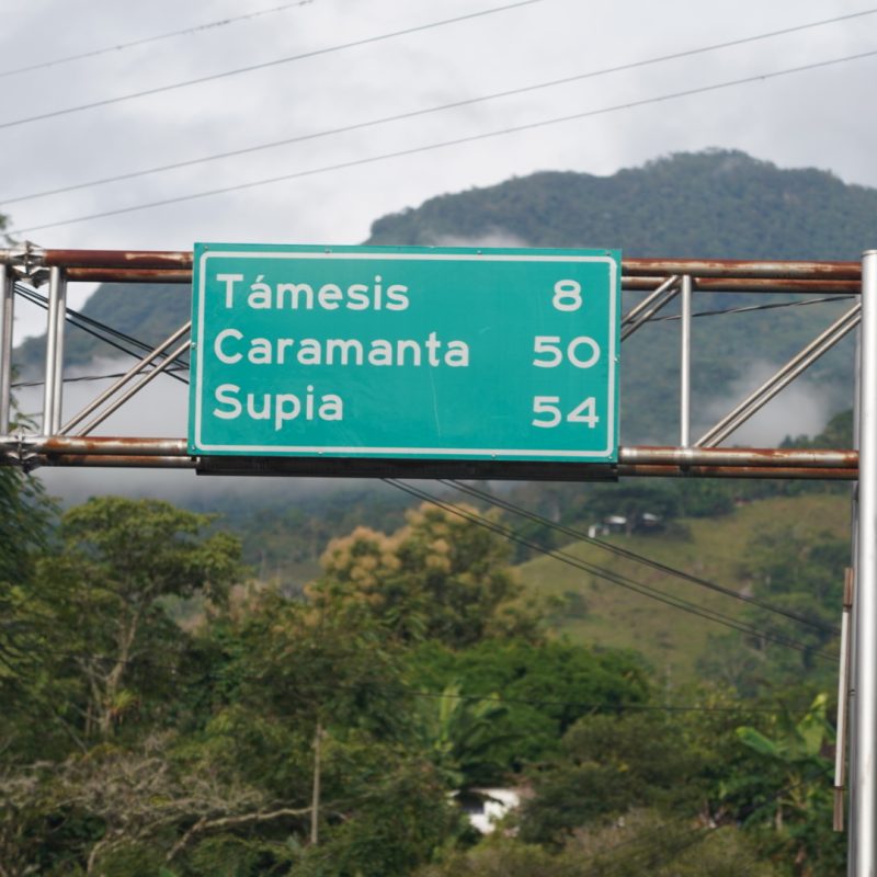 Tamesis Bourbon Lozana Coffee (3)